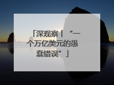 深观察丨“一个万亿美元的愚蠢错误”